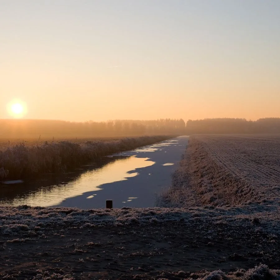 wordpress onderhoud in almere