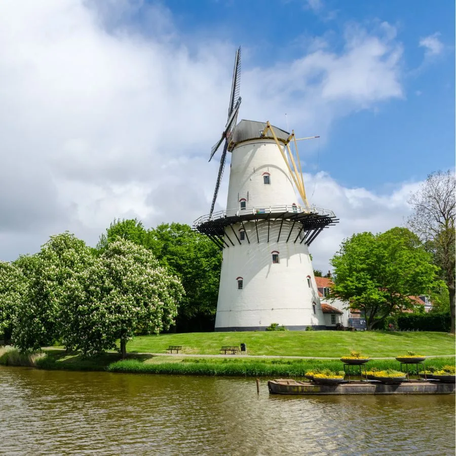 wordpress onderhoud in middelburg