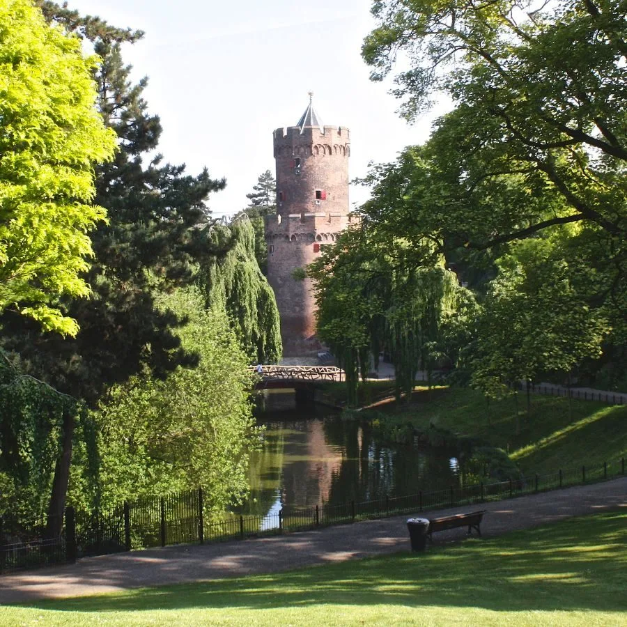 wordpress onderhoud in nijmegen