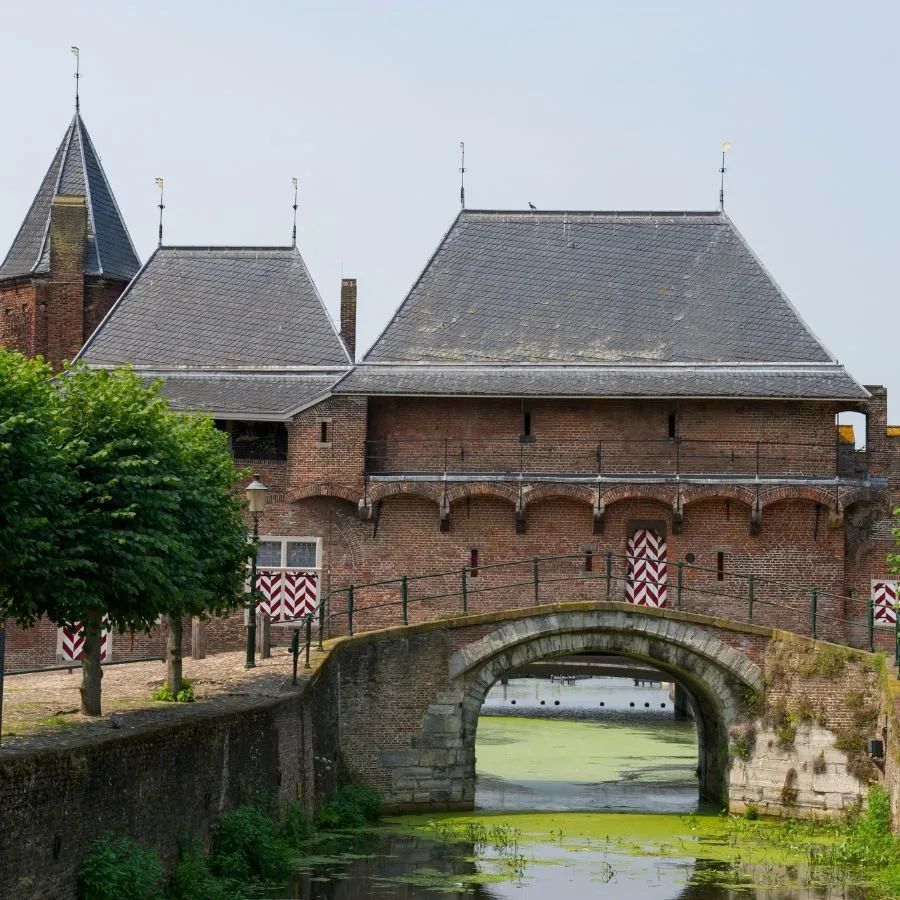 wordpress onderhoud in amersfoort