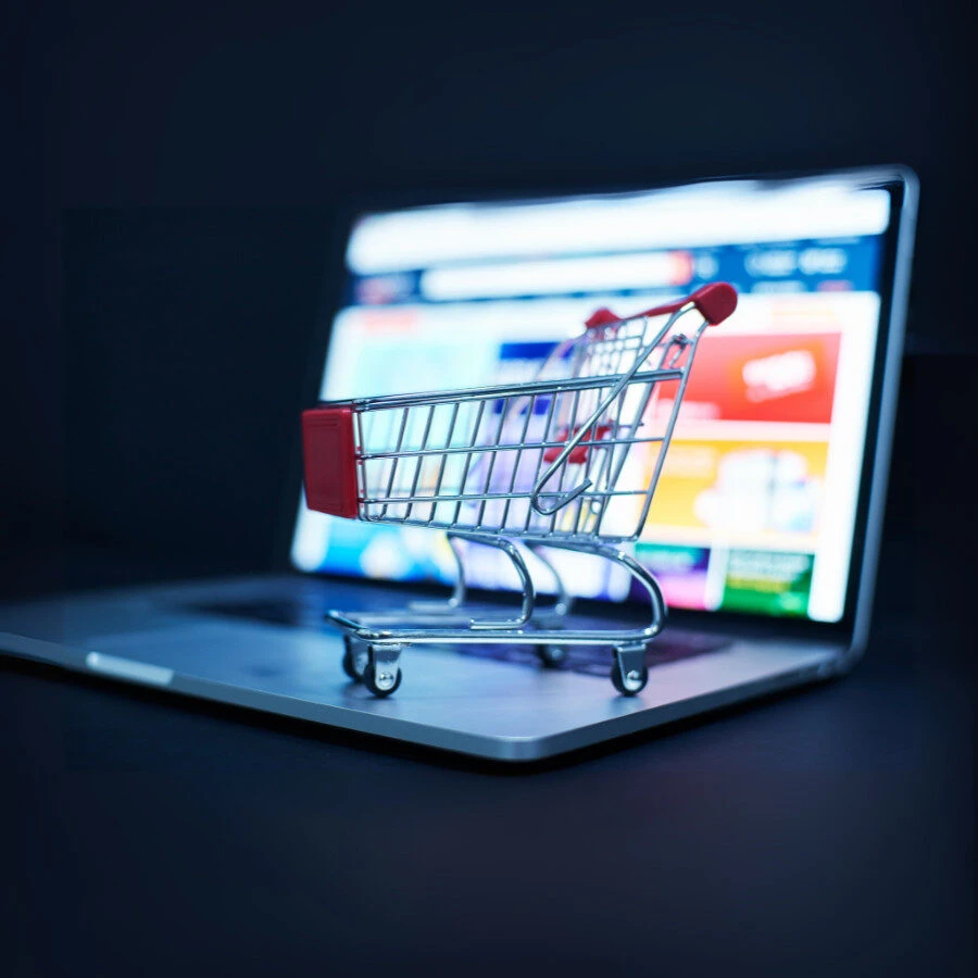 afbeelding van een webshop die we hebben gemaakt